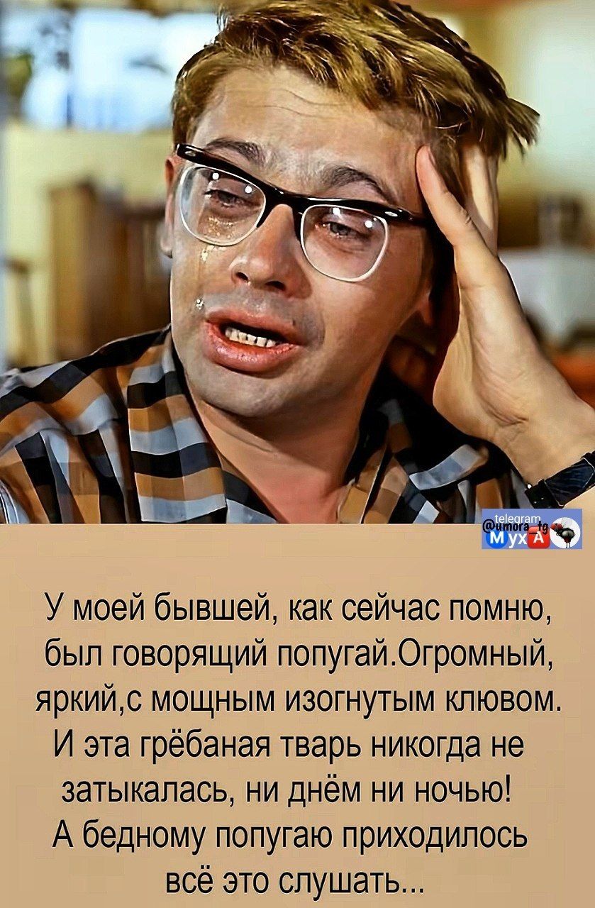 У моей бывшей, как сейчас помню, был говорящий попугай. Огромный, яркий, с мощным изогнутым клювом. И эта грёбаная тварь никогда не затыкалась, ни днём ни ночью! А бедному попугаю приходилось всё это слушать...