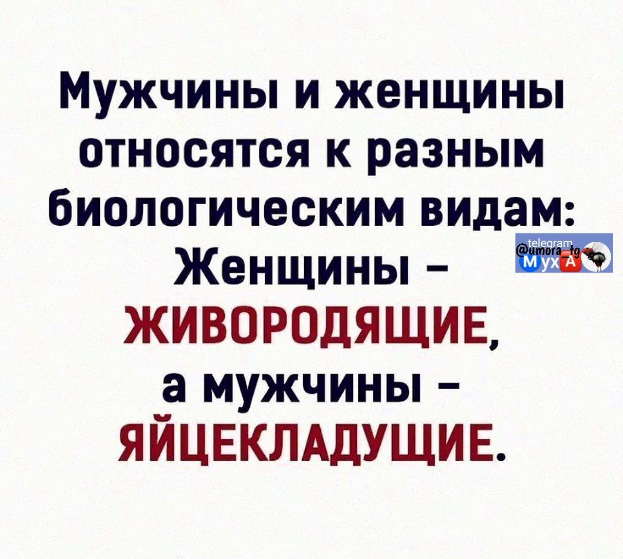 Мужчины и женщины относятся к разным биологическим видам: Женщины – ЖИВОРОДЯЩИЕ, а мужчины – ЯЙЦЕКЛАДУЩИЕ.