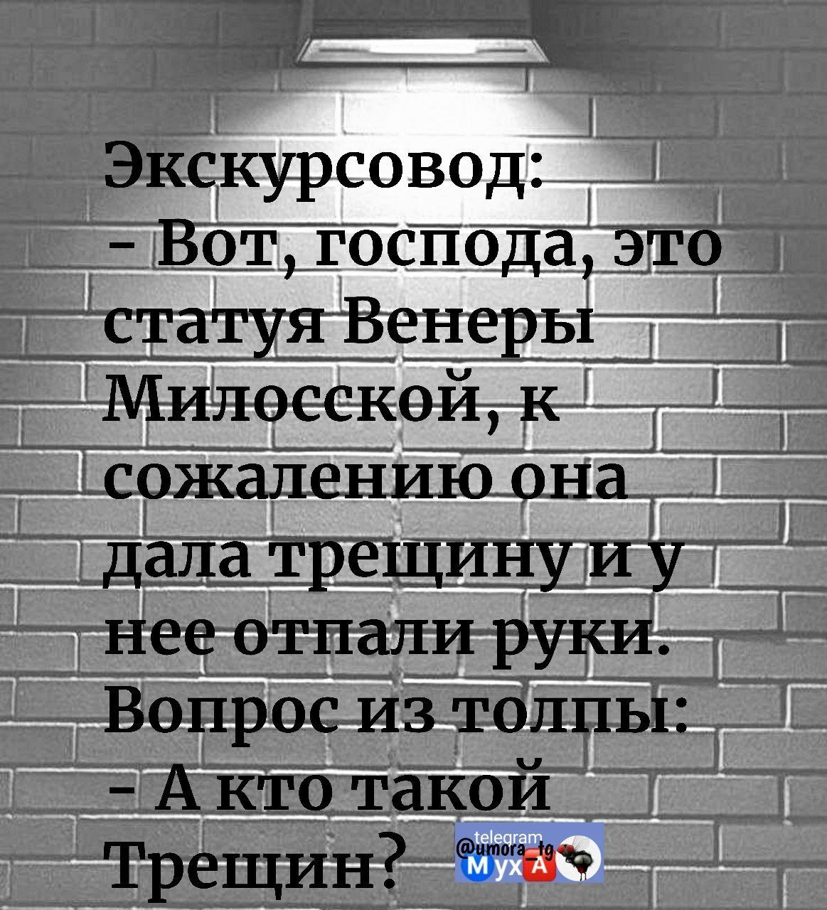 Экскурсовод:
- Вот, господа, это статуя Венеры Милосской, к сожалению она дала трещину и у нее отпали руки.
Вопрос из толпы:
- А кто такой Трещин?