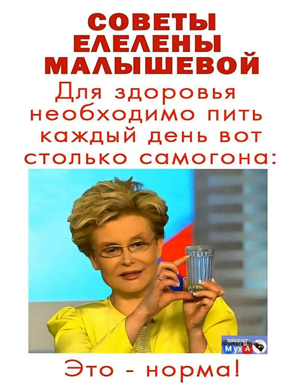 СОВЕТЫ ЕЛЕНЫ МАЛЫШЕВОЙ
Для здоровья необходимо пить каждый день вот столько самогона:
Это - норма!
