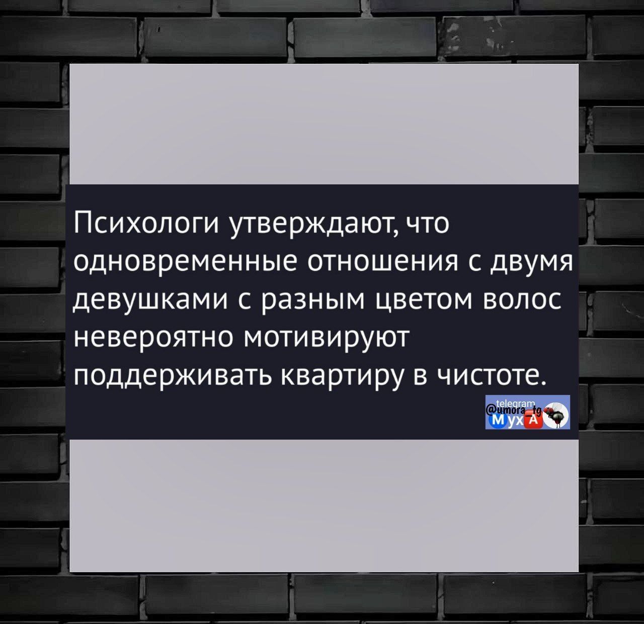 Психологи утверждают, что одновременные отношения с двумя девушками с разным цветом волос невероятно мотивируют поддерживать квартиру в чистоте.