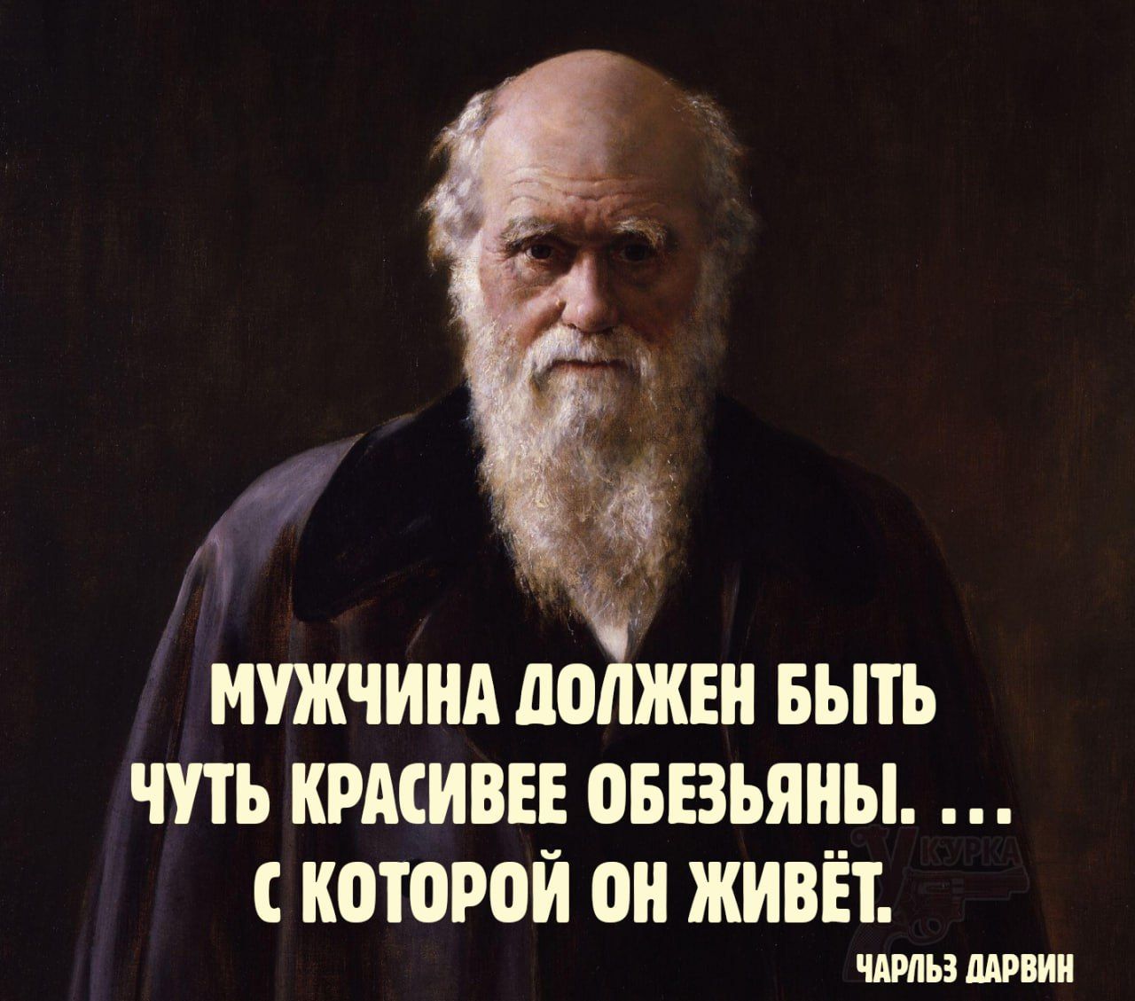 МУЖЧИНА ДОЛЖЕН БЫТЬ ЧУТЬ КРАСИВЕЕ ОБЕЗЬЯНЫ. ... С КОТОРОЙ ОН ЖИВЁТ.
ЧАРЛЬЗ ДАРВИН