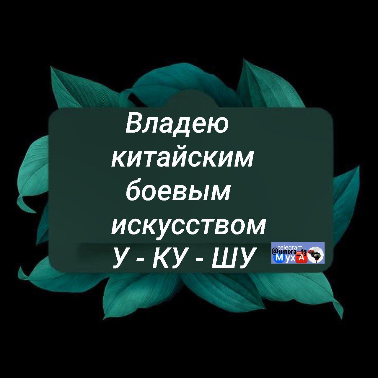 Владею китайским боевым искусством У - КУ - ШУ
