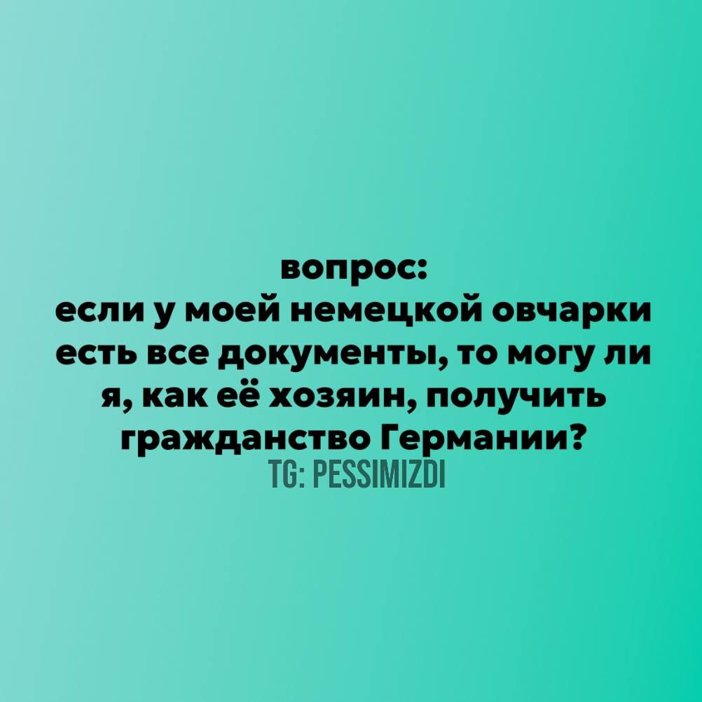 вопрос: если у моей немецкой овчарки есть все документы, то могу ли я, как её хозяин, получить гражданство Германии?