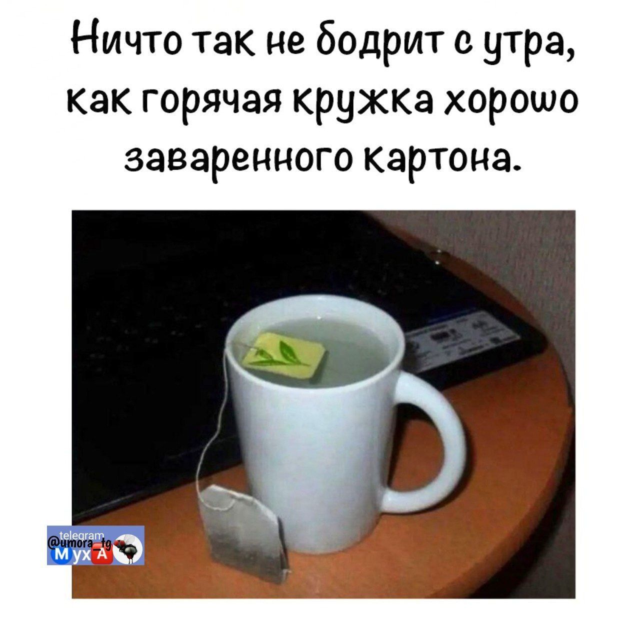 Ничто так не бодрит с утра, как горячая кружка хорошо заваренного картона.