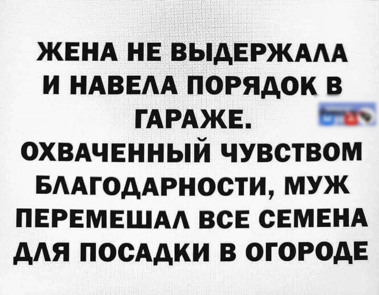 ЖЕНА НЕ ВЫДЕРЖАЛА И НАВЕЛА ПОРЯДОК В ГАРАЖЕ. ОХВАЧЕННЫЙ ЧУВСТВОМ БЛАГОДАРНОСТИ, МУЖ ПЕРЕМЕШАЛ ВСЕ СЕМЕНА ДЛЯ ПОСАДКИ В ОГОРОДЕ.