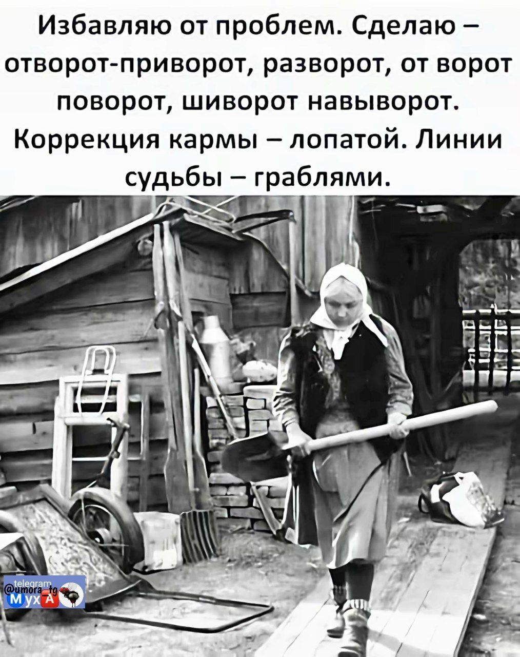 Избавляю от проблем. Сделаю – отверт-приворот, разворот, от ворот поворот, шиворот навыворот. Коррекция кармы – лопатой. Линии судьбы – граблями.