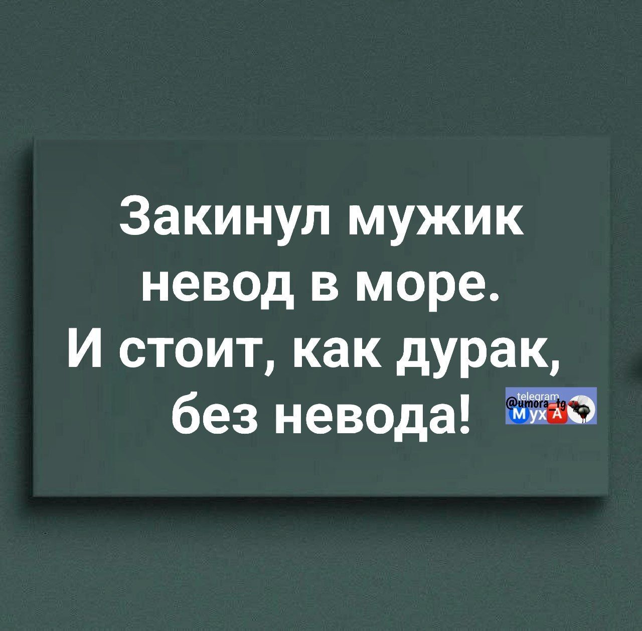 Закінул мужик невод в море. И стоит, как дурак, без неводa!
