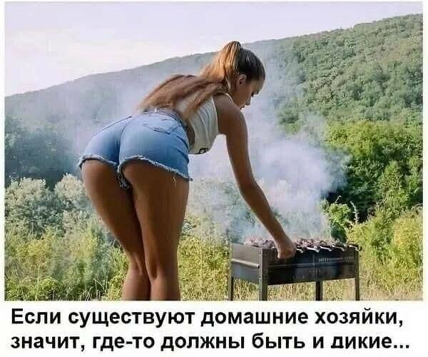 Если существуют домашние хозяйки, значит, где-то должны быть и дикие...