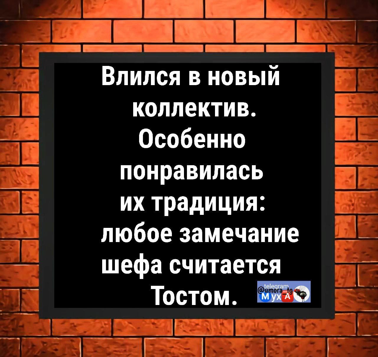 Влился в новый коллектив. Особенно понравилась их традиция: любое замечание шефа считается Тостом.
