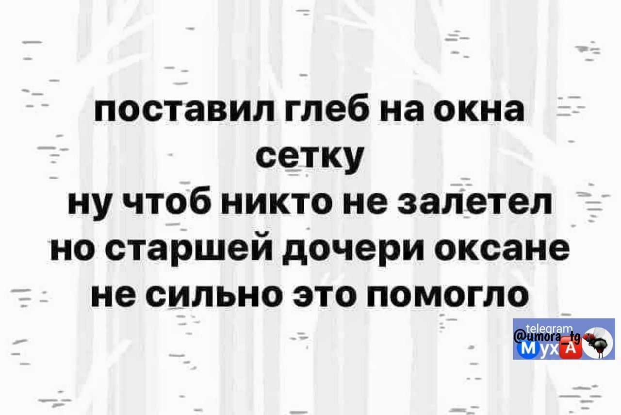 поставил глеб на окна сетку
ну чтоб никто не залетел
но старшей дочери оксане
не сильно это помогло