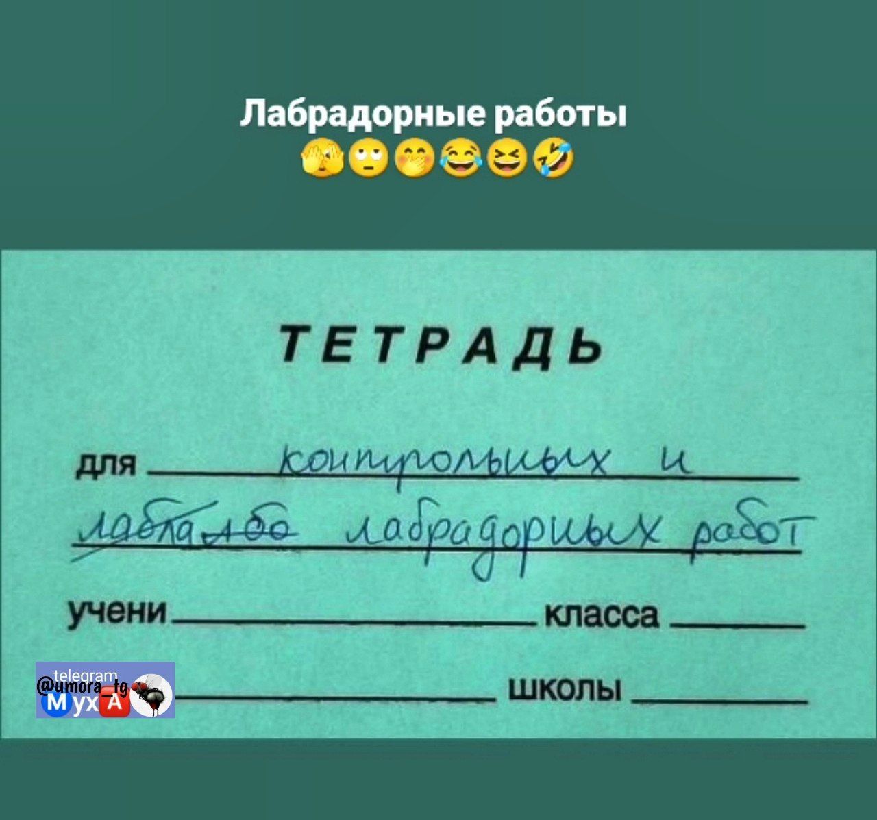 Лабрадорные работы

ТЕТРАДЬ

для __________ контрольных и лабораторных работ

учени __________ класса

школы __________