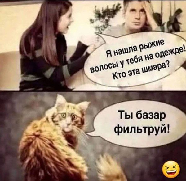 Я нашла рыжие волосы у тебя на одежде! Кто эта шмара?
Ты базар фильтруй!