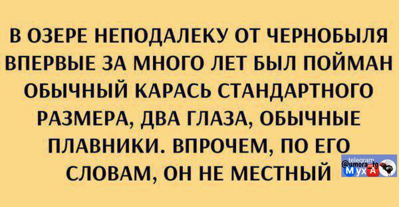 В ОЗЕРЕ НЕПОДАЛЕКУ ОТ ЧЕРНОБЫЛЯ ВПЕРВЫЕ ЗА МНОГО ЛЕТ БЫЛ ПОЙМАН ОБЫЧНЫЙ КАРАСЬ СТАНДАРТНОГО РАЗМЕРА, ДВА ГЛАЗА, ОБЫЧНЫЕ ПЛАВНИКИ. ВПРОЧЕМ, ПО ЕГО СЛОВАМ, ОН НЕ МЕСТНЫЙ