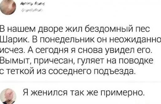 В нашем дворе жил бездомный пес Шарик. В понедельник он неожиданно исчез. А сегодня я снова увидел его. Вымытый, причесан, гуляет на поводке с тёткой из соседнего подъезда.

Я женился так же примернo.
