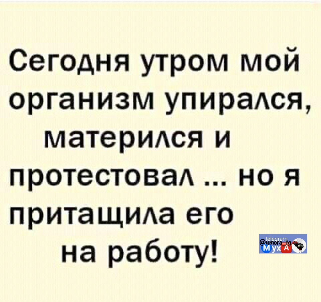 Сегодня утром мой организм упирался, матерился и протестовал ... но я притаскивала его на работу!