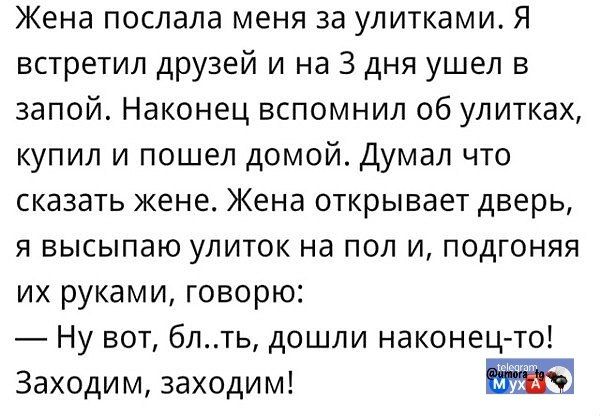 Жена послала меня за улитками. Я встретил друзей и на 3 дня ушел в запой. Наконец вспомнил об улитках, купил и пошел домой. Думал что сказать жене. Жена открывает дверь, я высыпаю улиток на пол и, подгоняя их руками, говорю: — Ну вот, бл..ть, дошли наконец-то! Заходим, заходим!