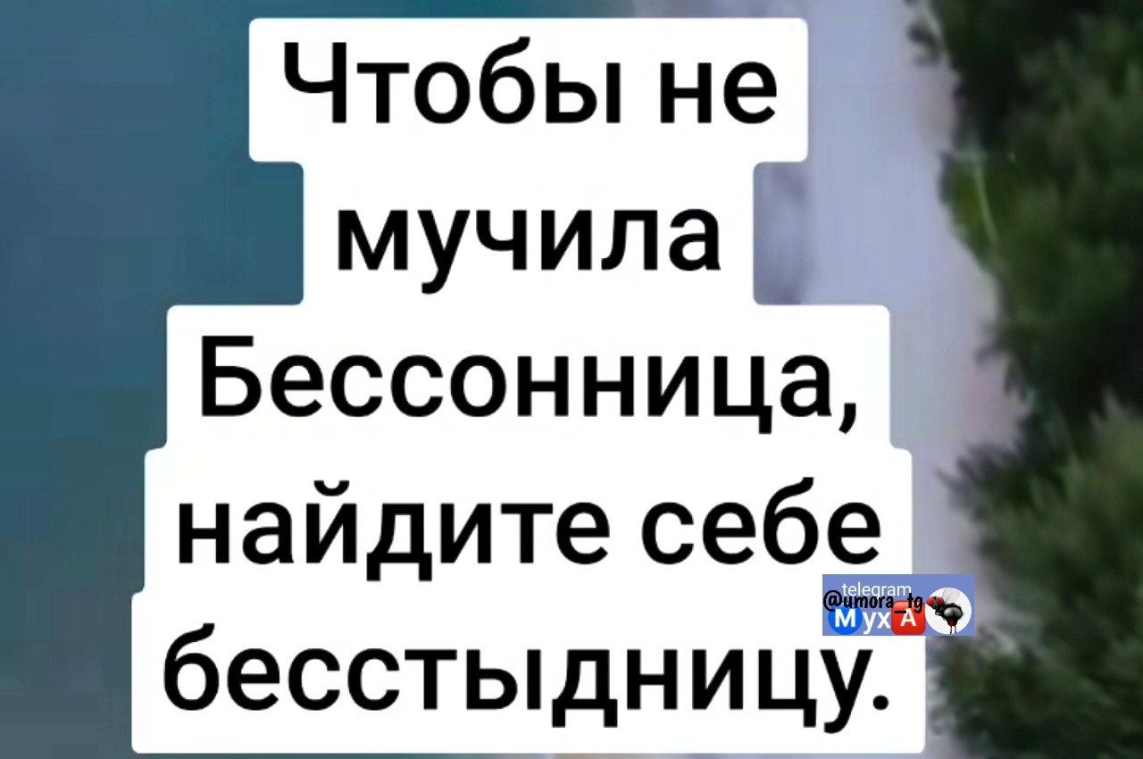 Чтобы не мучила Бессонница, найдите себе бесстыдницу.