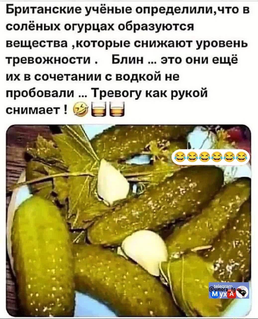 Британские учёные определили, что в солёных огурцах образуются вещества, которые снижают уровень тревожности. Блин... это они ещё их в сочетании с водкой не пробовали... Тревогу как рукой снимает!