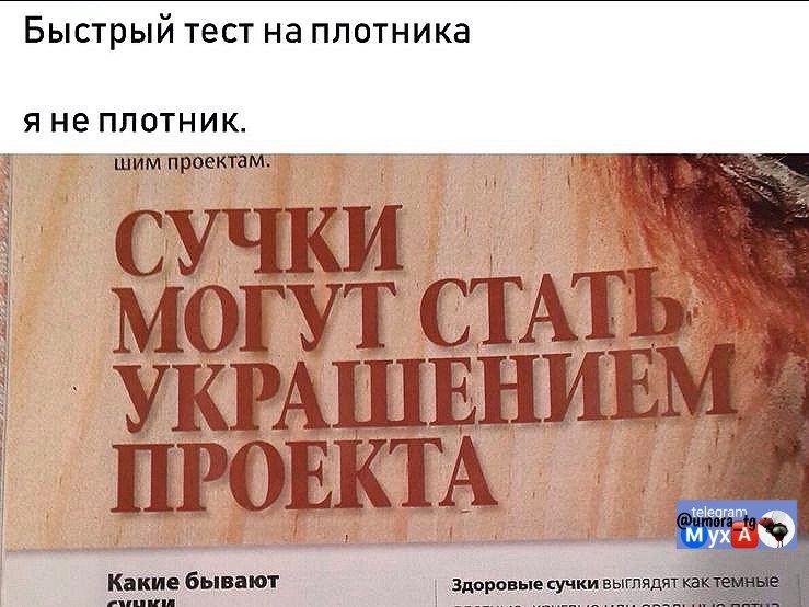 Быстрый тест на плотника я не плотник. СУЧКИ МОГУТ СТАТЬ УКРАШЕНИЕМ ПРОЕКТА Какие бывают сучки Здоровые сучки выглядят как темные