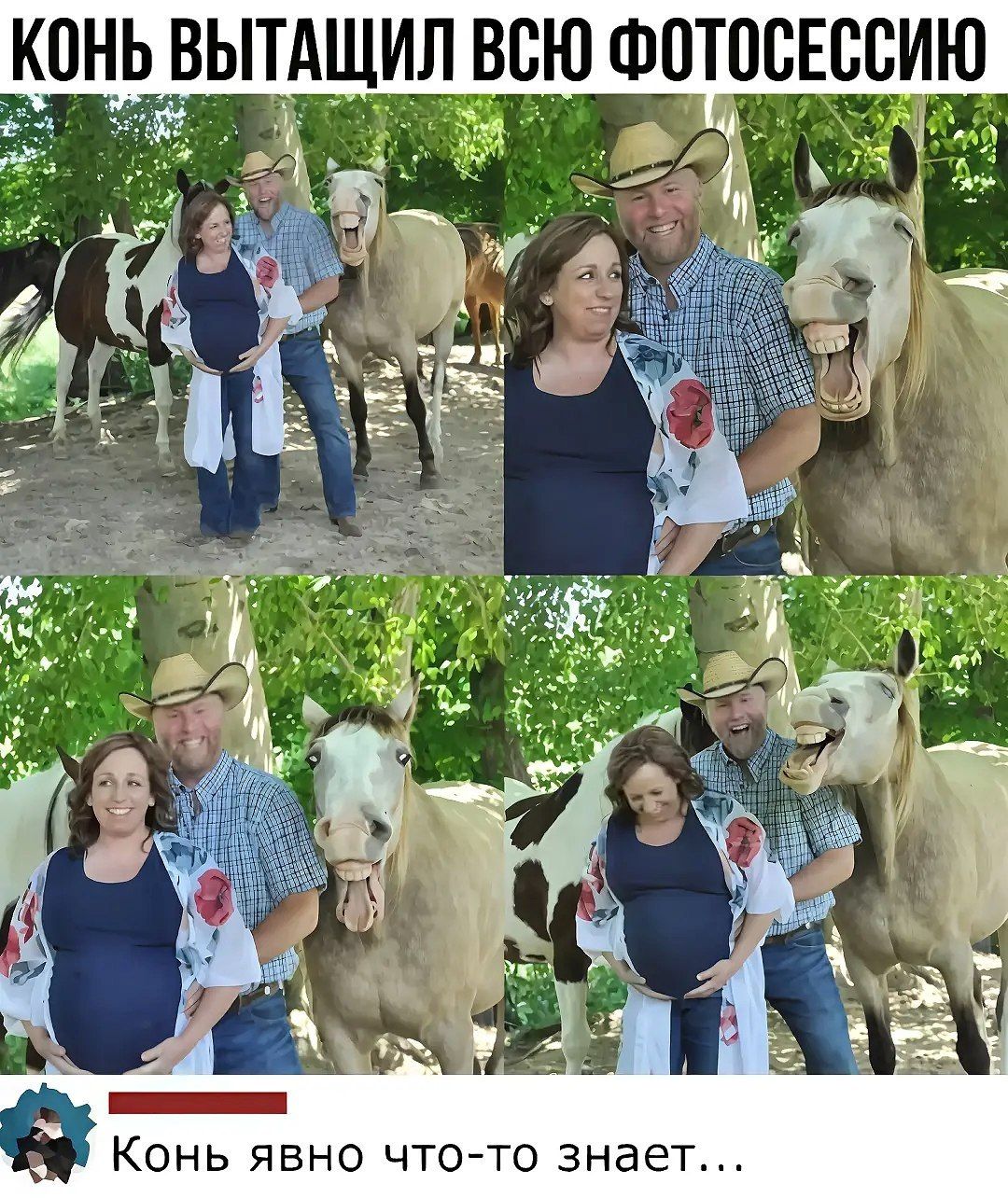 КОНЬ ВЫТАЩИЛ ВСЮ ФОТОСЕСИЮ
Конь явно что-то знает...