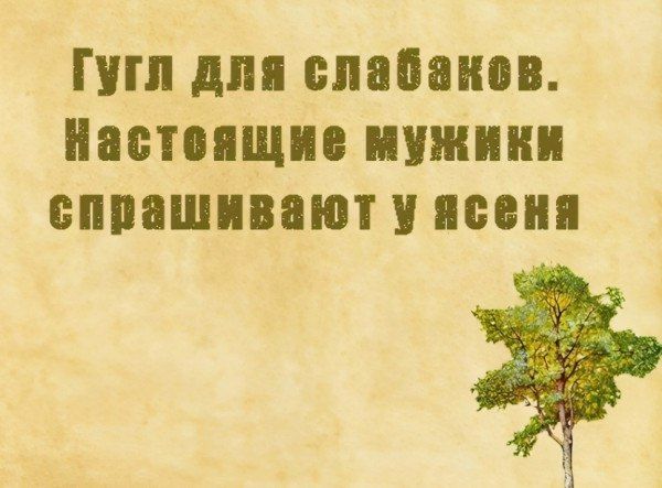 Гугл для слабаков. Настоящие мужики спрашивают у ясеня