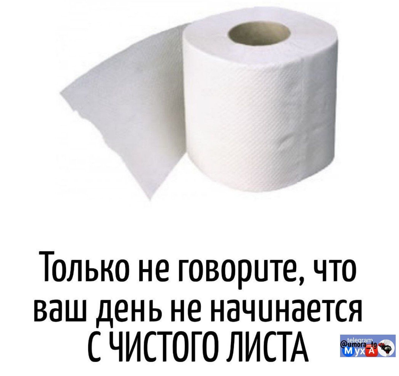 Только не говорите, что ваш день не начинается с ЧИСТОГО ЛИСТА.