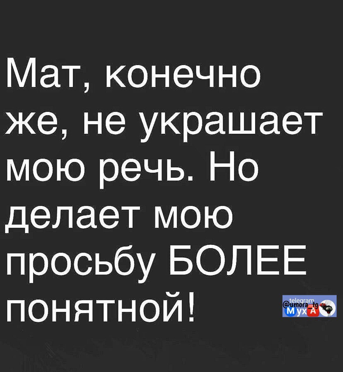 Мат, конечно же, не украшает мою речь. Но делает мою просьбу БОЛЬШЕ понятной!