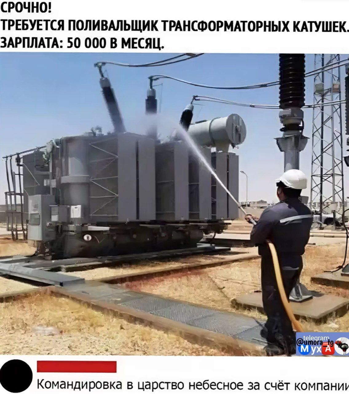 СРОЧНО! ТРЕБУЕТСЯ ПОЛИВАЛЬЩИК ТРАНСФОРМАТОРНЫХ КАТУШЕК. ЗАРПЛАТА: 50 000 В МЕСЯЦ. Командировка в царство небесное за счёт компании.