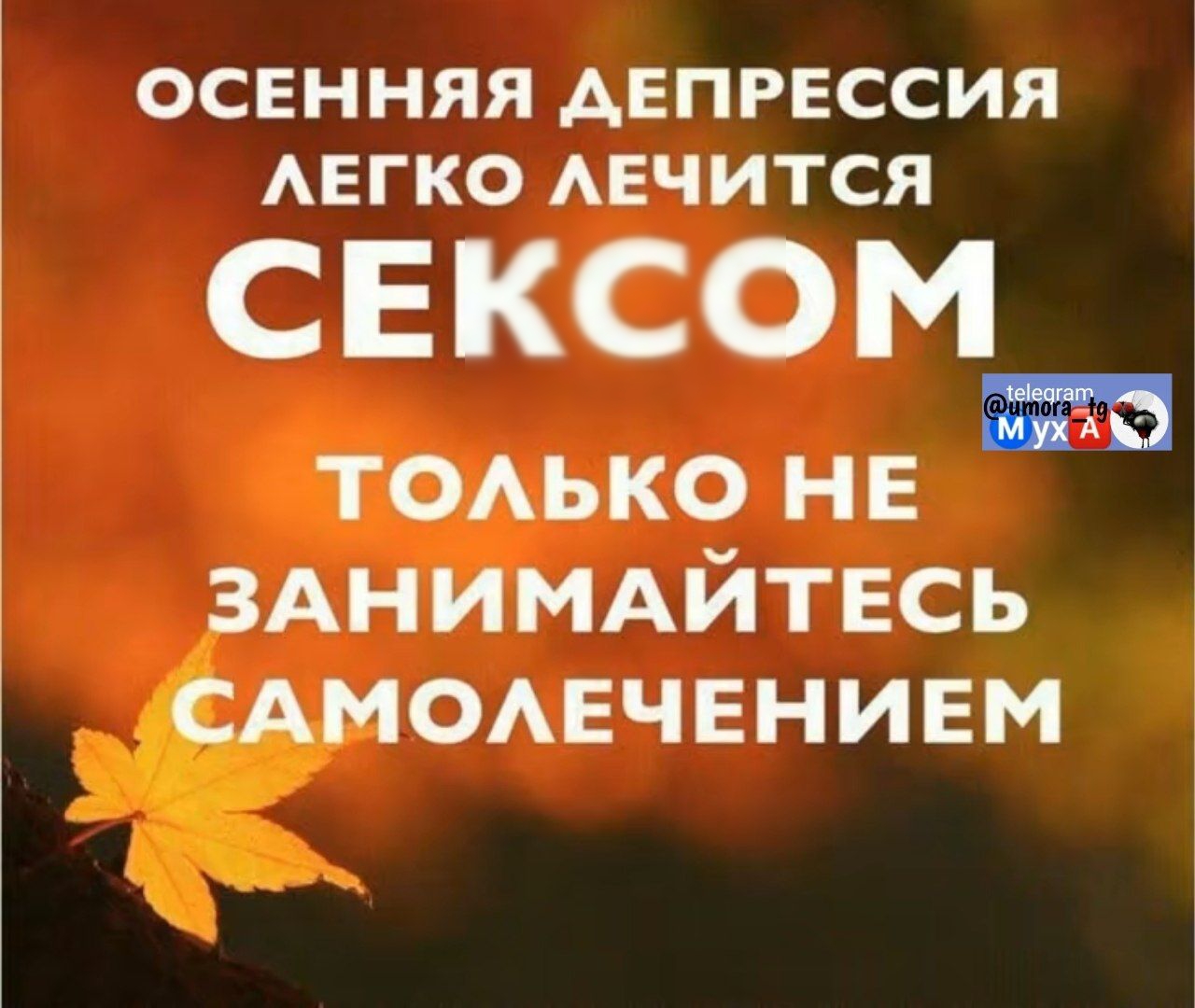 ОСЕННЯЯ ДЕПРЕССИЯ ЛЕГКО ЛЕЧИТСЯ СЕКСОМ ТОЛЬКО НЕ ЗАНИМАЙТЕСЬ САМОЛЕЧЕНИЕМ