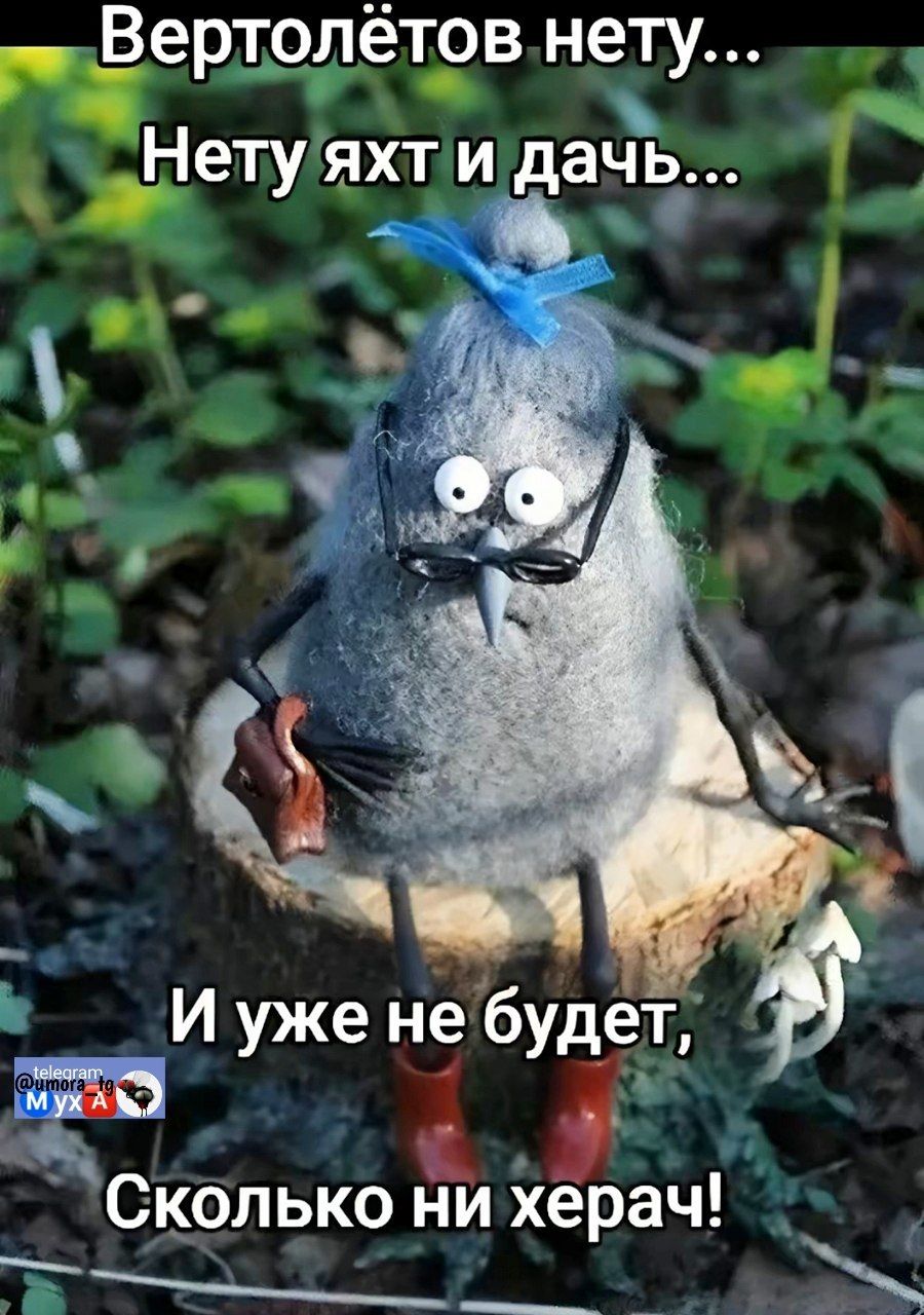 Вертолётов нет... 
Нет яхт и дач... 
И уже не будет, 
Сколько ни херач!