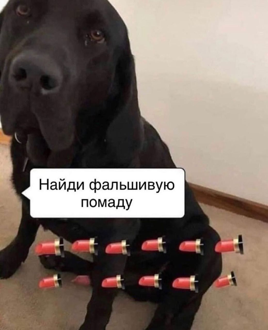 Найди фальшивую помаду
