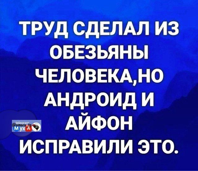 ТРУД СДЕЛАЛ ИЗ ОБЕЗЬЯНЫ ЧЕЛОВЕКА, НО АНДРОИД И АЙФОН ИСПРАВИЛИ ЭТО.