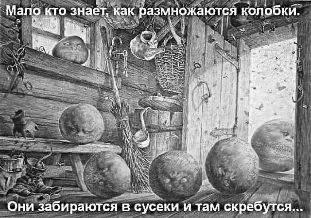 Мало кто знает, как размножаются колобки.
Они забираются в сусеки и там скребутся...