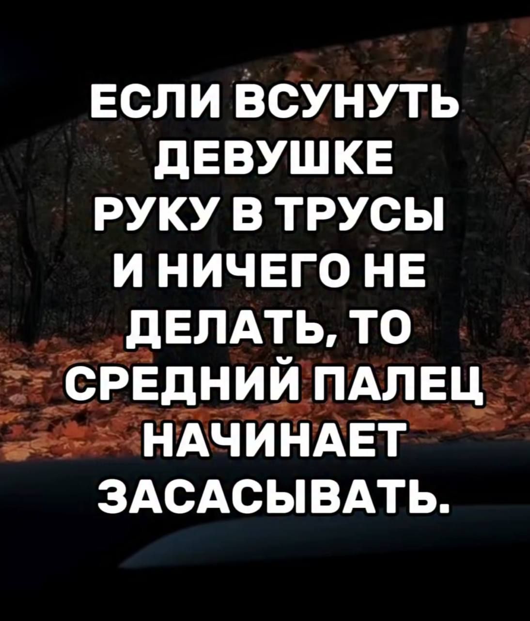 ЕСЛИ ВСУНУТЬ ДЕВУШКЕ РУКУ В ТРУСЫ И НИЧЕГО НЕ ДЕЛАТЬ, ТО СРЕДНИЙ ПАЛЕЦ НАЧИНАЕТ ЗАСАСЫВАТЬ.