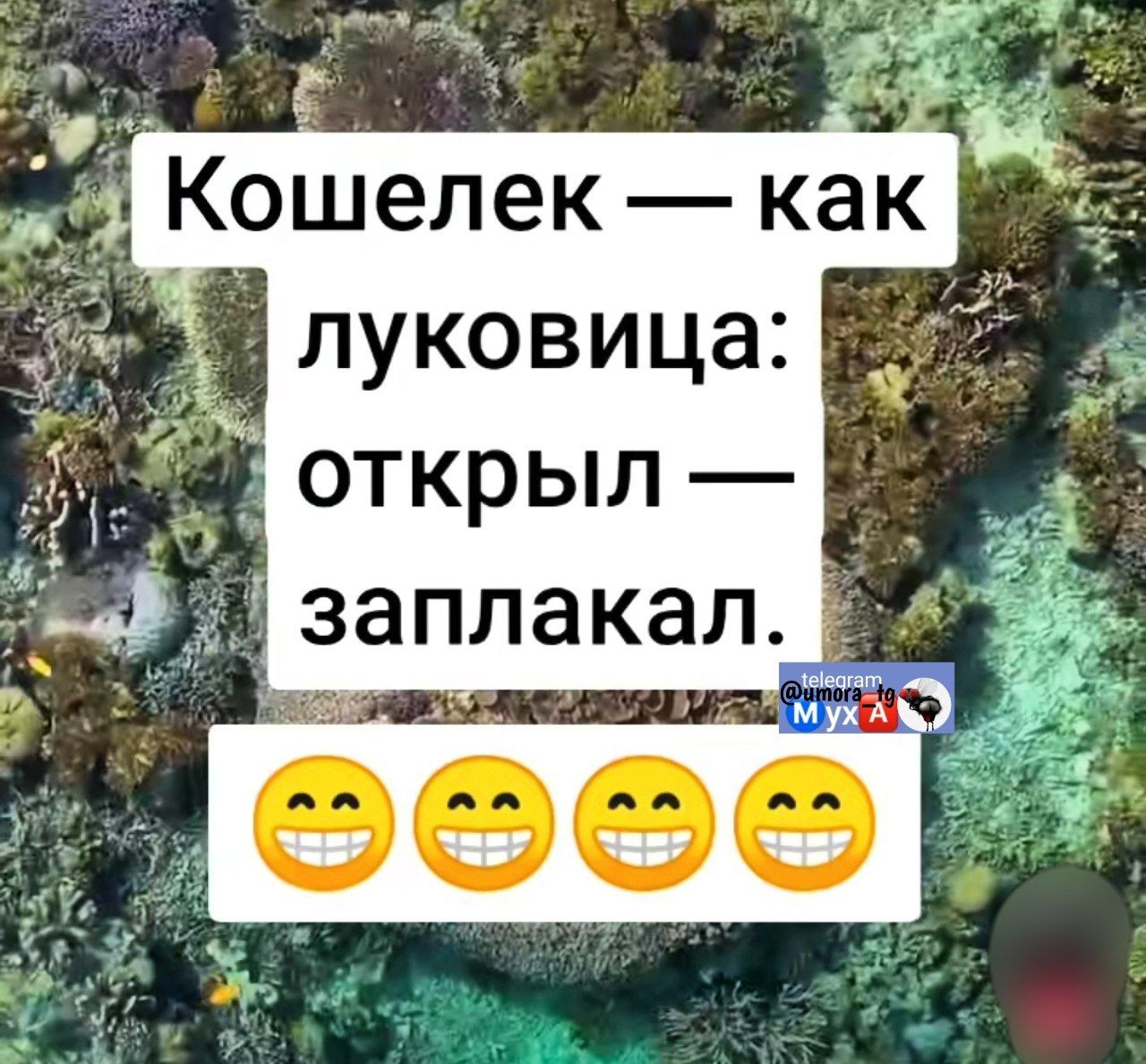 Кошелек — как луковица: открыл — заплакал.