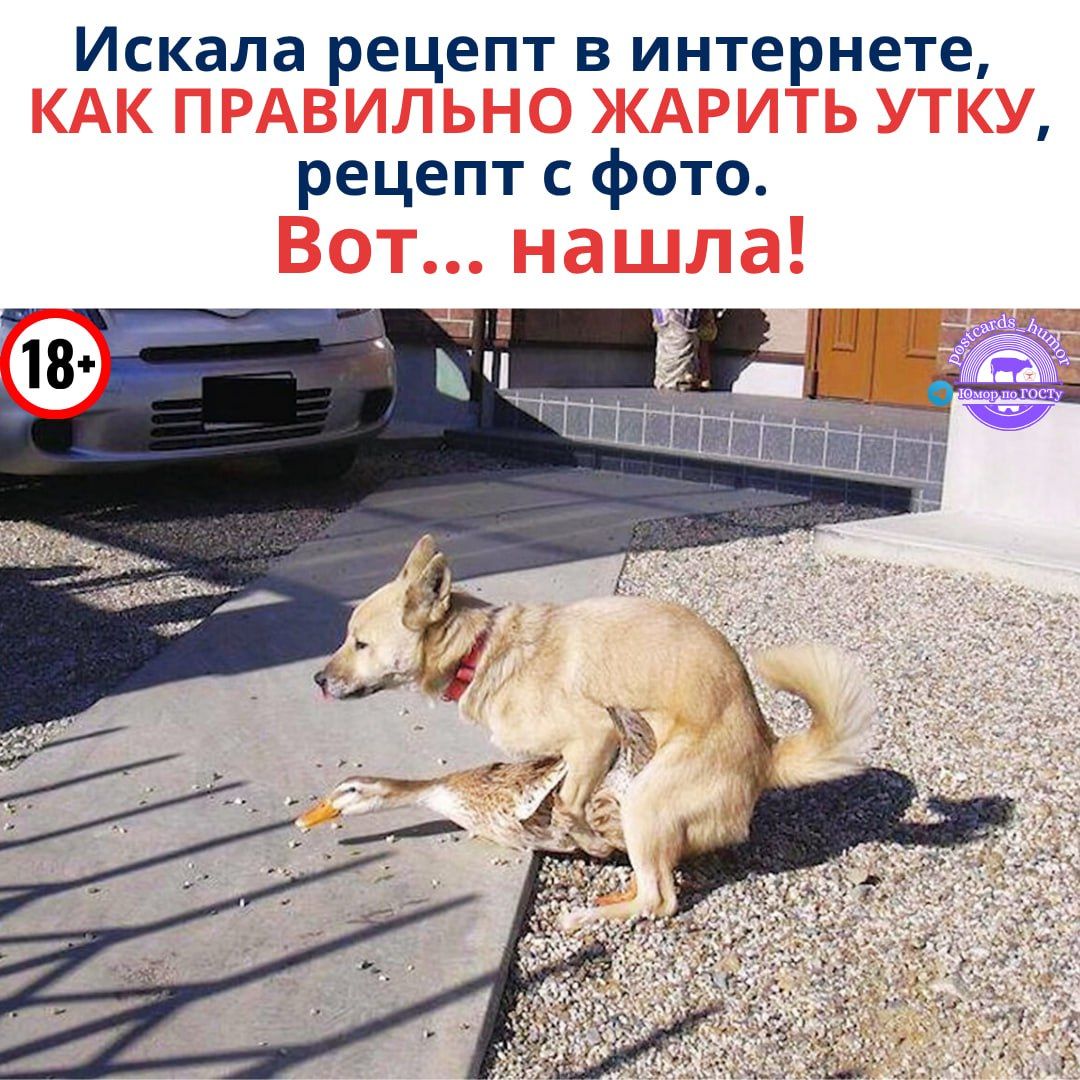 Искала рецепт в интернете, КАК ПРАВИЛЬНО ЖАРИТЬ УТКУ, рецепт с фото. Вот... нашла!