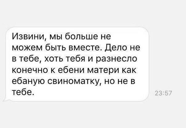Извини, мы больше не можем быть вместе. Дело не в тебе, хоть тебя и разнесло конечно к ебени матери как ебаную свиноматку, но не в тебе.
