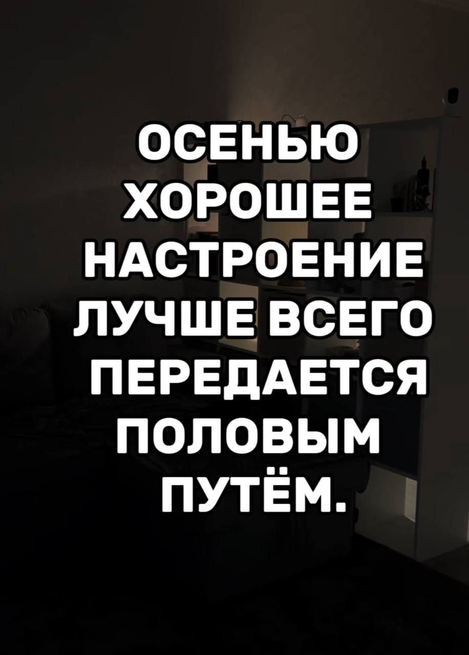 ОСЕНЬЮ ХОРОШЕЕ НАСТРОЕНИЕ ЛУЧШЕ ВСЕГО ПЕРЕДАЁТСЯ ПОЛОВЫМ ПУТЁМ.