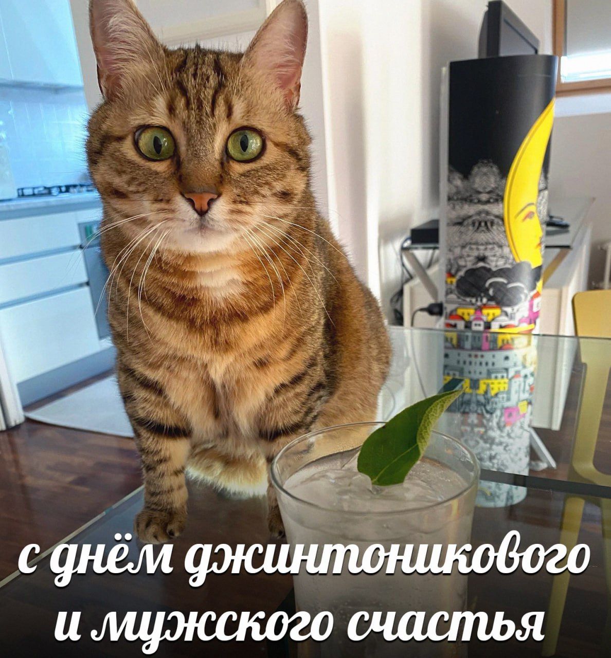 с днём джинтоникового и мужского счастья