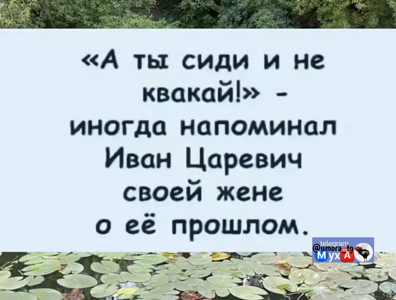 «А ты СИДИ и не КВАКАЙ!» - иногда напоминал Иван Царевич своей жене о её прошлом.