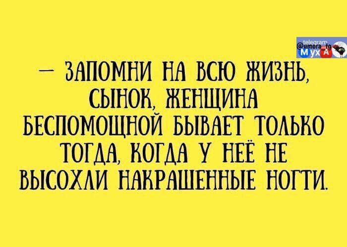 — запомни на всю жизнь, сынок, женщина беспомощной бывает только тогда, когда у нее не высохли накрашенные ногти.