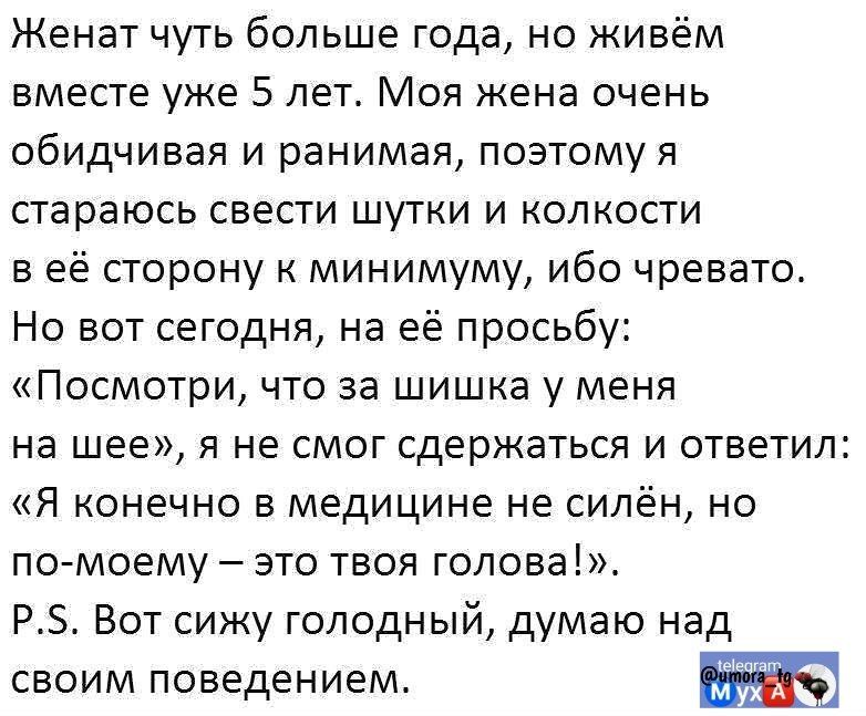 Женат чуть больше года, но живём вместе уже 5 лет. Моя жена очень обидчивая и ранимая, поэтому я стараюсь свести шутки и колкости в её сторону к минимуму, ибо чревато. Но вот сегодня, на её просьбу: 
