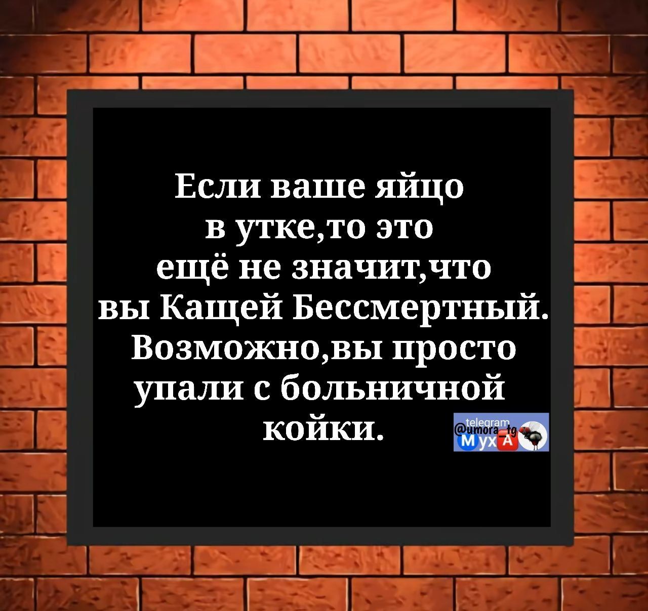 Если ваше яйцо в утке, то это ещё не значит, что вы Кащей Бессмертный. Возможно, вы просто упали с больничной койки.
