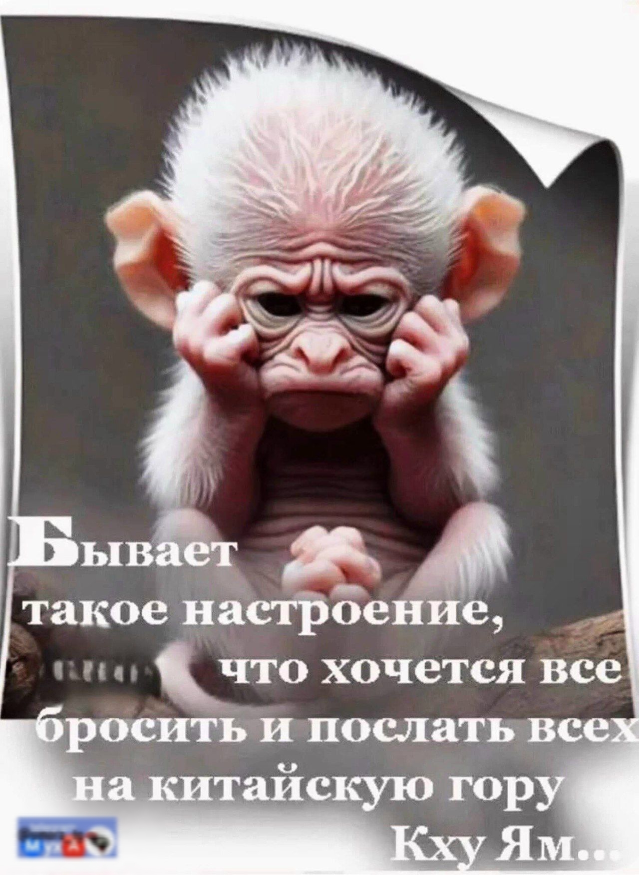Бывает такое настроение, когда хочется всё бросить и послать всех на китайскую гору Кху Ям...
