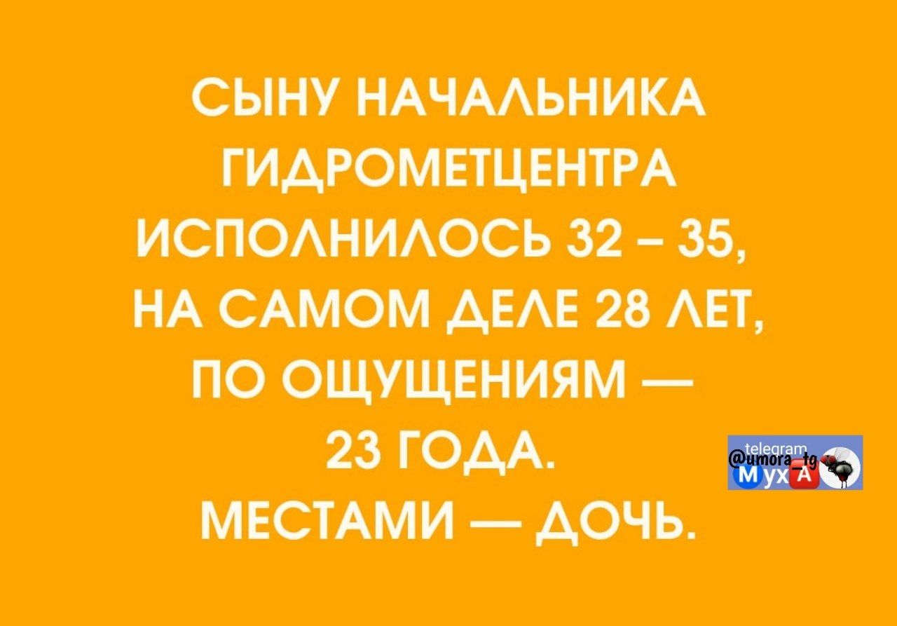 СЫНУ НАЧАЛЬНИКА ГИДРОМЕТЦЕНТРА ИСПОЛНИЛОСЬ 32 – 35, НА САМОМ ДЕЛЕ 28 ЛЕТ, ПО ОЩУЩЕНИЯМ — 23 ГОДА. МЕСТАМИ — ДОЧЬ.