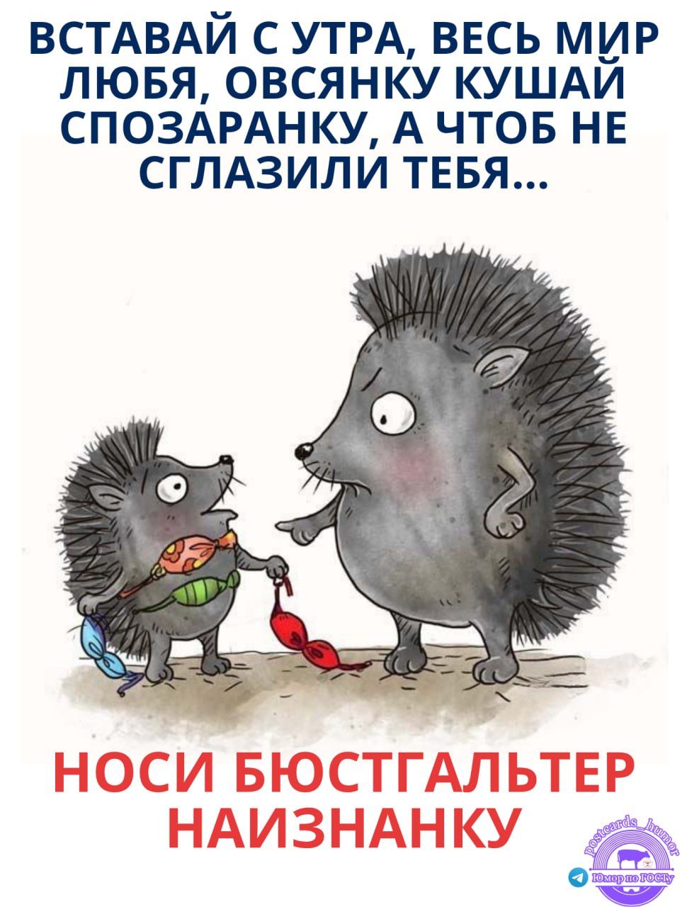 ВСТАВАЙ С УТРА, ВСЕЙ МИР ЛЮБЯ, ОВСЯНКУ КУШАЙ СПОЗАРАНКУ, А ЧТОБ НЕ СГЛАЗИЛ ТЕБЯ... НОСИ БЮСТГАЛЬТЕР НАИЗНАНКУ