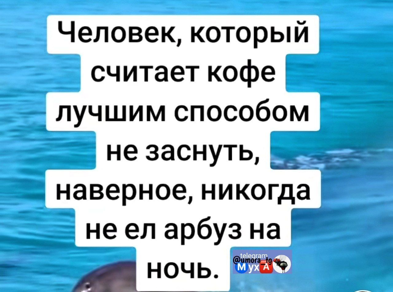 Человек, который считает кофе лучшим способом не заснуть, наверное, никогда не ел арбуз на ночь.