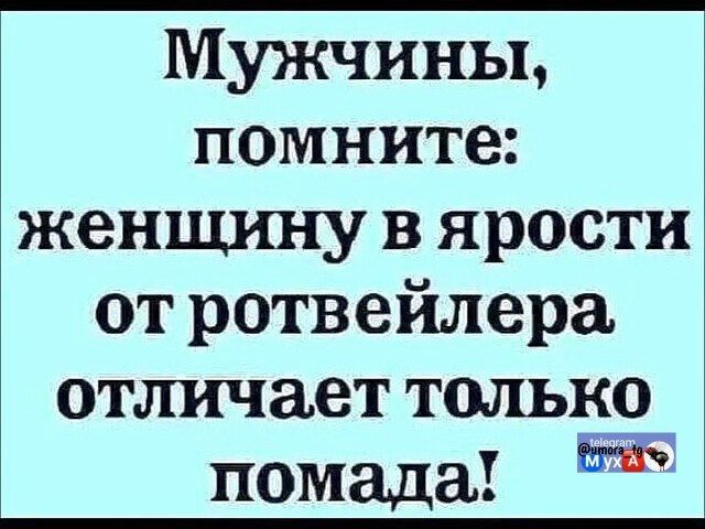 Мужчины, помните: женщину в ярости от ротвейлера отличает только помада!