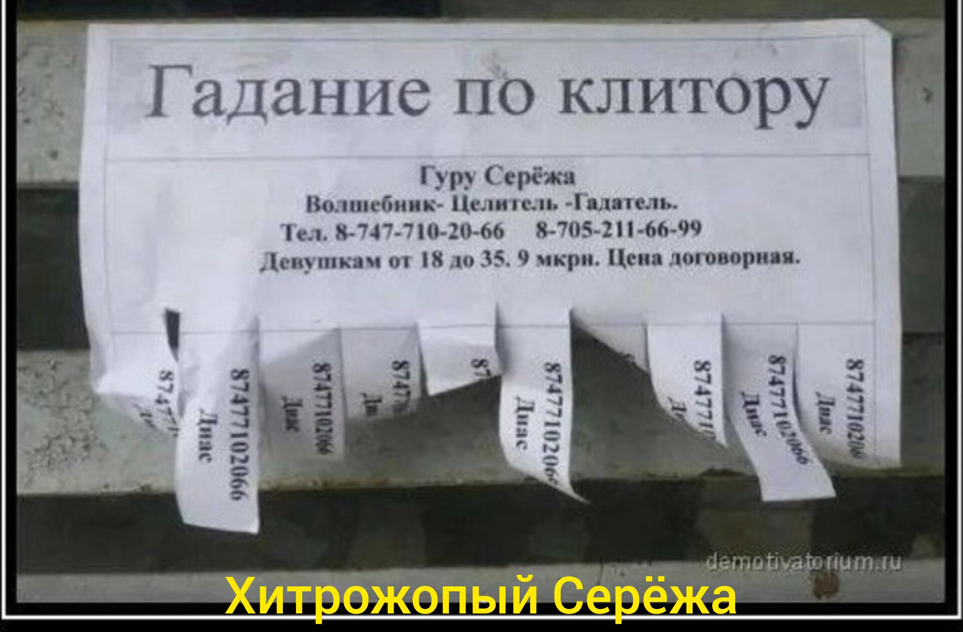 Гадание по клиторю
Хитрозопый Серёжа